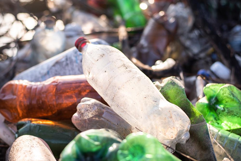 Omega Pro Audio ECO 10