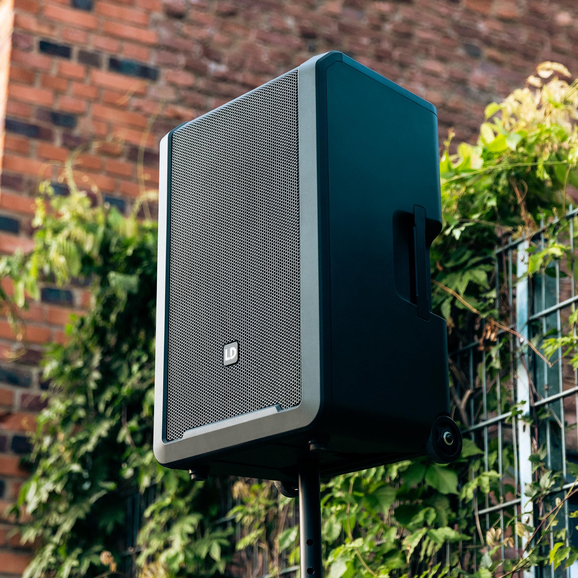 LD Systems ANNY 12